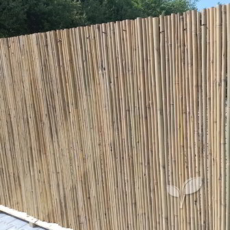 Bamboe schutting met bamboe tegen hek
